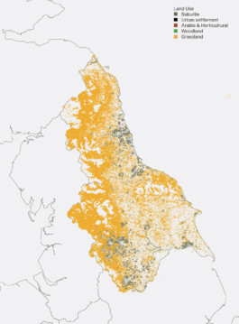 Material-Cultures_Research-NEY_Grassland