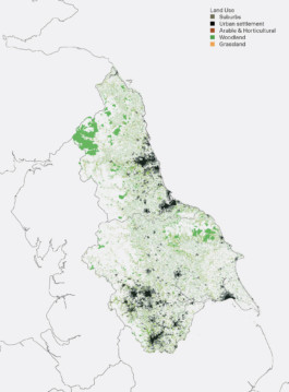 Material-Cultures_Research-NEY_Woodland