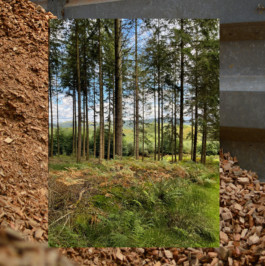 Material-Cultures_SOM-European-Prize-2021