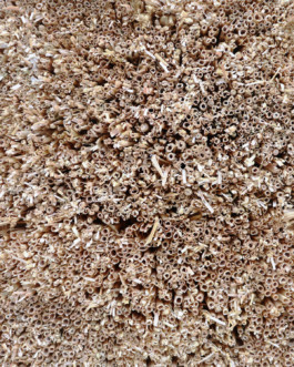 Material Cultures
